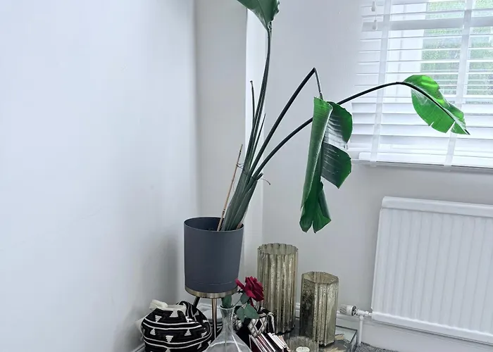 Bright And Modern Flat Near Portobello Road And The Canal